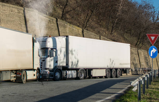 istockphoto-1296187601-612x612.jpg