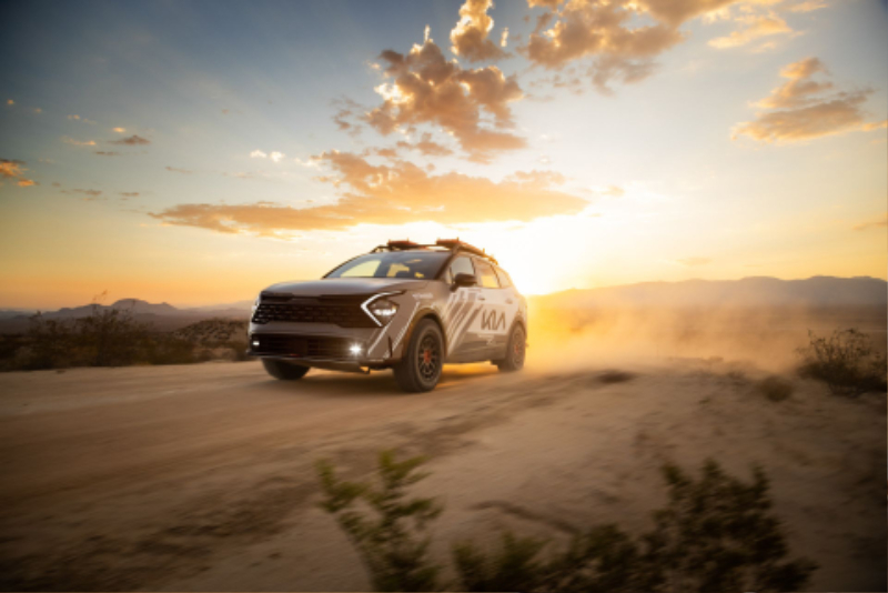 Kia-Sportage-X-Pro_Rebelle_Rally_2022-6.jpg