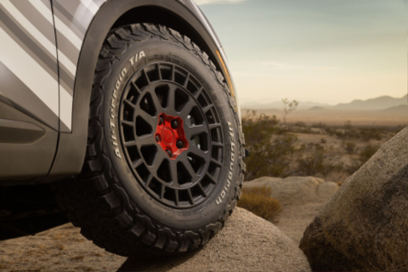 Kia-Sportage-X-Pro_Rebelle_Rally_2022-11.jpg
