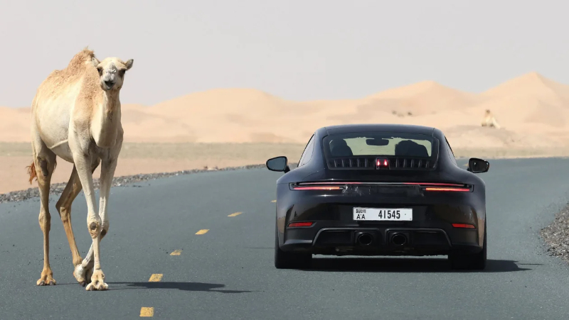 facelift-911-9_m5sfae.jpg